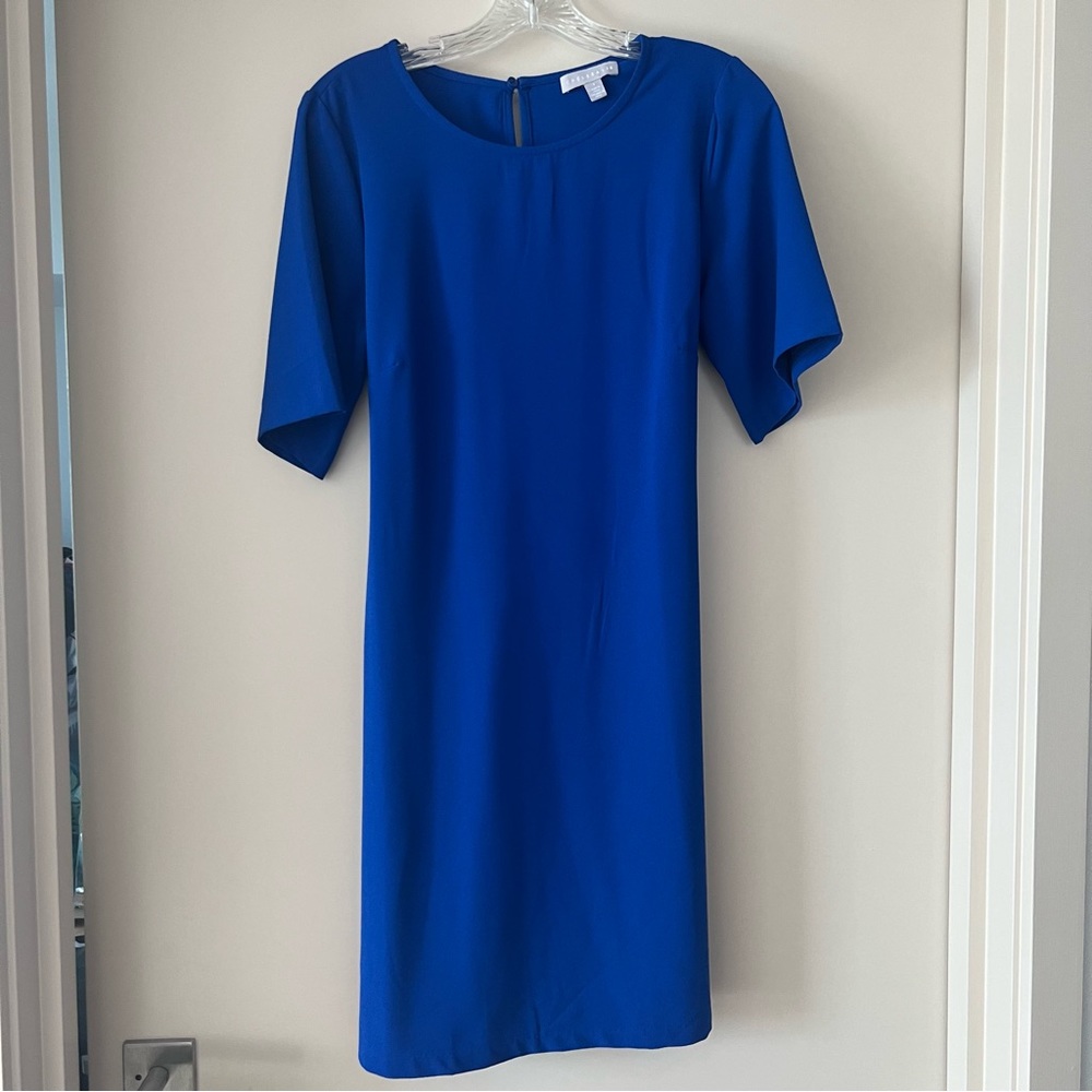 Chelsea28 Shift Dress NWOT